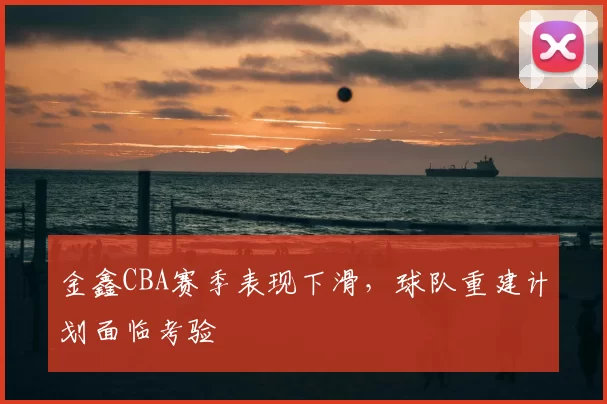 金鑫CBA赛季表现下滑，球队重建计划面临考验