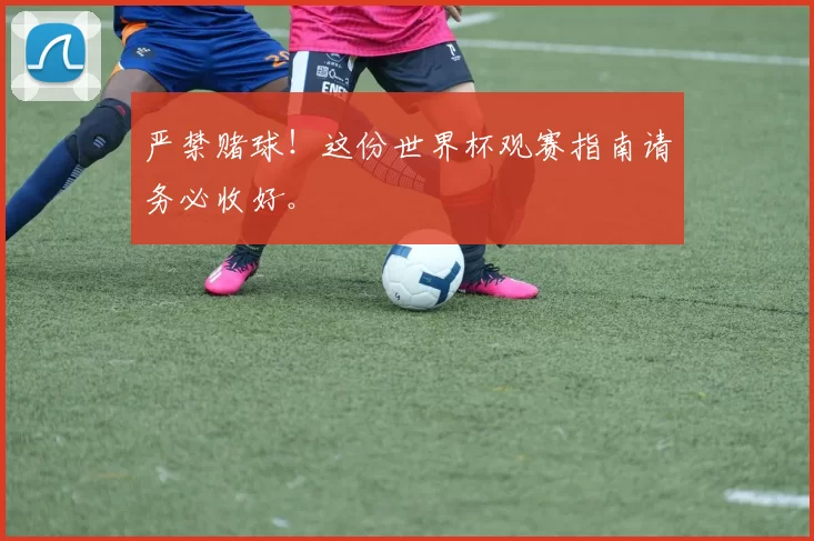 严禁赌球！这份世界杯观赛指南请务必收好。