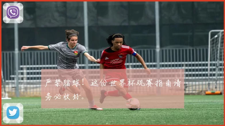 严禁赌球!这份世界杯观赛指南请务必收好。