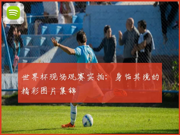 世界杯现场观赛实拍:身临其境的精彩图片集锦