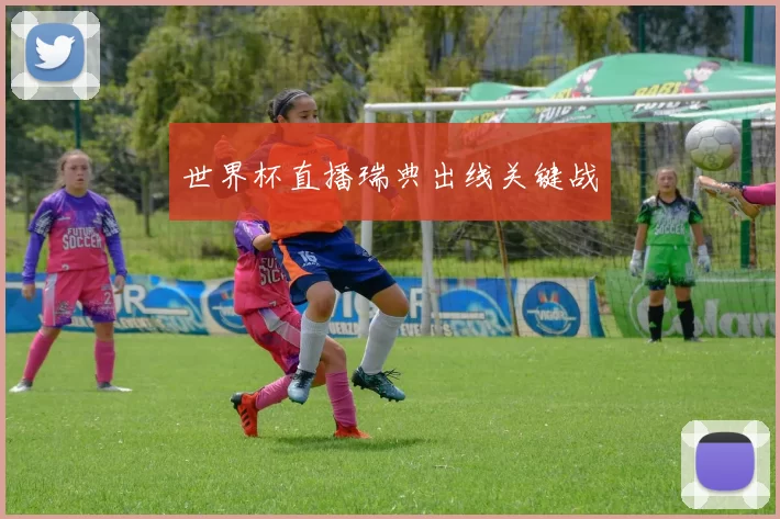 世界杯直播瑞典出线关键战