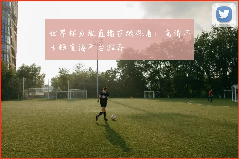 世界杯分组直播在线观看，高清不卡顿直播平台推荐