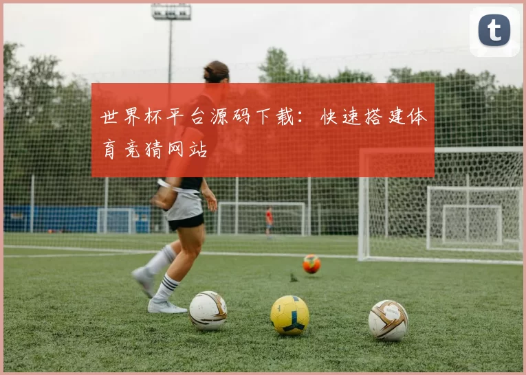 世界杯平台源码下载：快速搭建体育竞猜网站