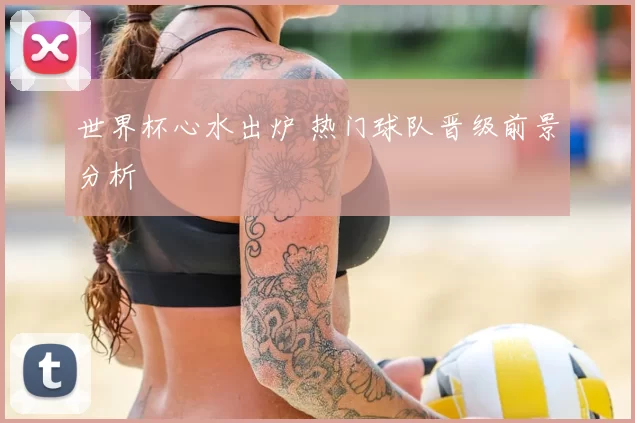 世界杯心水出炉 热门球队晋级前景分析