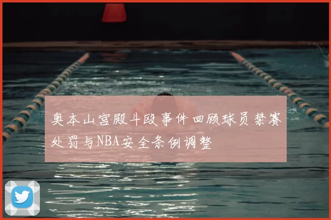 奥本山宫殿斗殴事件回顾球员禁赛处罚与NBA安全条例调整