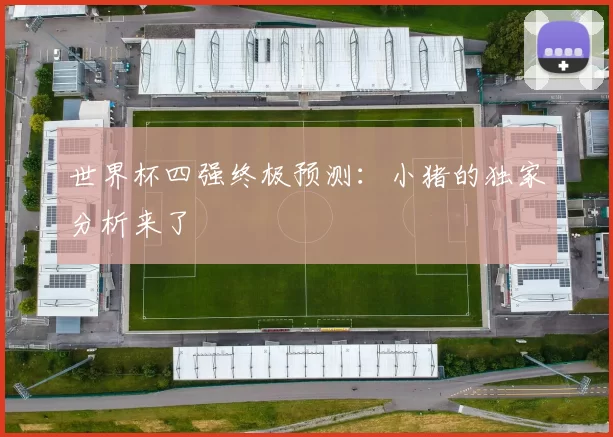 世界杯四强终极预测：小猪的独家分析来了