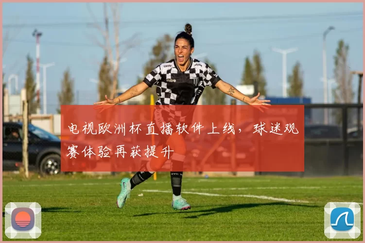 电视欧洲杯直播软件上线，球迷观赛体验再获提升