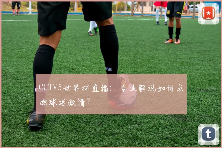 CCTV5世界杯直播：专业解说如何点燃球迷激情？