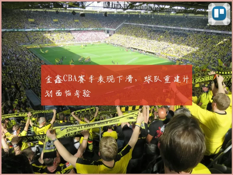 金鑫CBA赛季表现下滑，球队重建计划面临考验