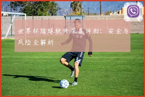 世界杯赌球软件深度评测：安全与风险全解析