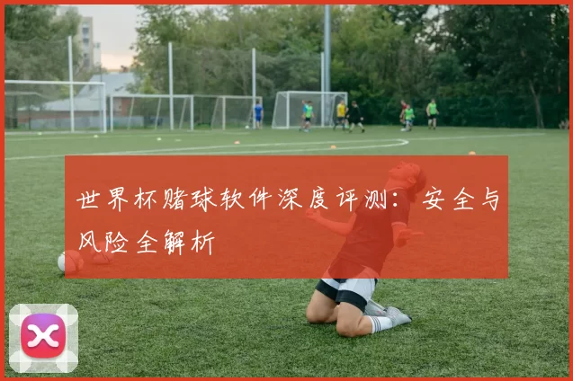 世界杯赌球软件深度评测:安全与风险全解析
