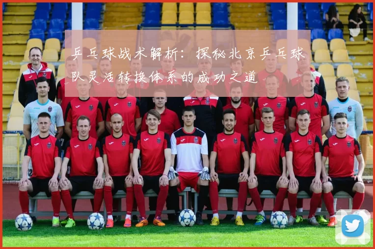 乒乓球战术解析：探秘北京乒乓球队灵活转换体系的成功之道