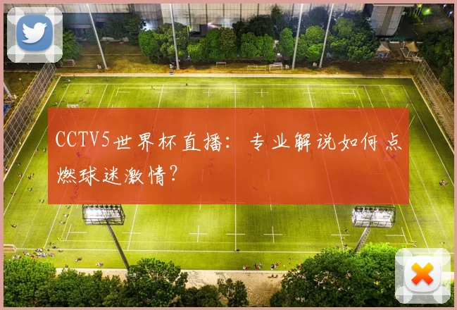CCTV5世界杯直播：专业解说如何点燃球迷激情？