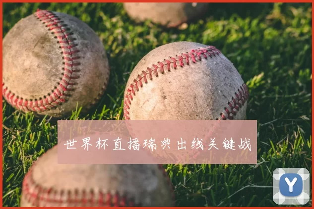 世界杯直播瑞典出线关键战