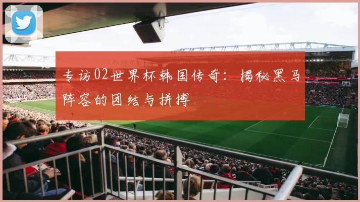 专访02世界杯韩国传奇:揭秘黑马阵容的团结与拼搏