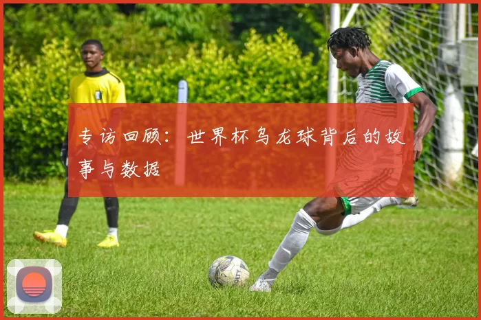 专访回顾:世界杯乌龙球背后的故事与数据
